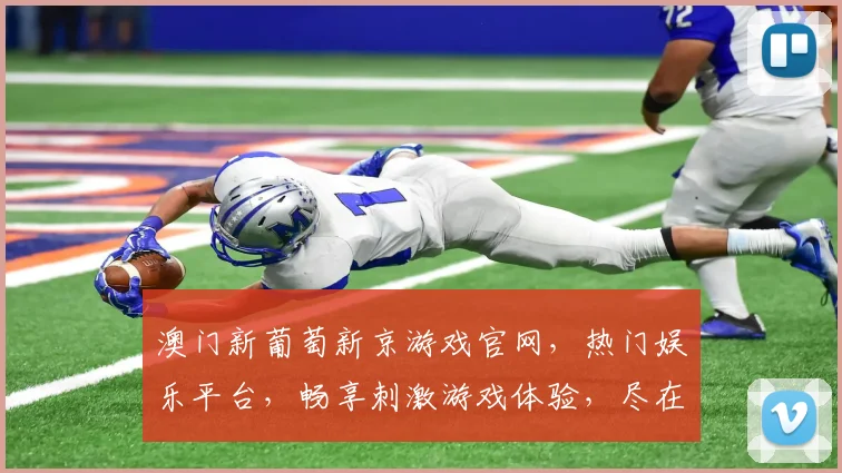 澳门新葡萄新京游戏官网，热门娱乐平台，畅享刺激游戏体验，尽在新京游戏官网