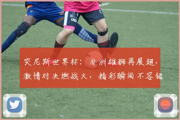 突尼斯世界杯：非洲雄狮再展翅，激情对决燃战火，精彩瞬间不容错过，足球盛宴等你来
